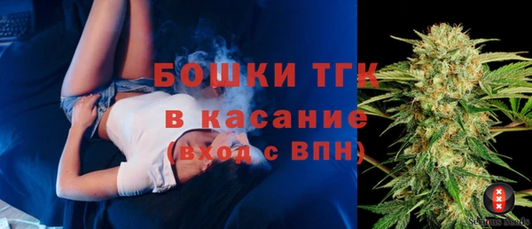 PSILOCYBIN Пересвет