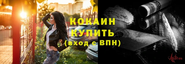PSILOCYBIN Пересвет
