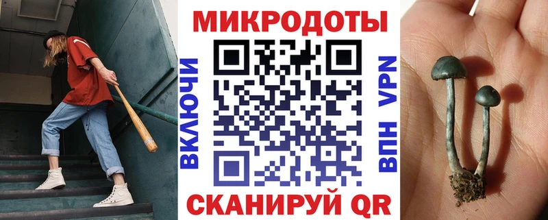 Галлюциногенные грибы прущие грибы  Беломорск 